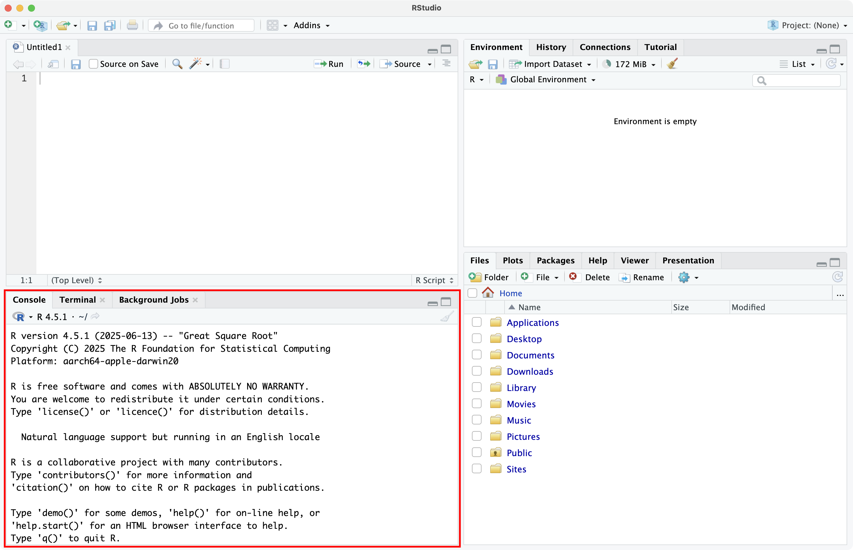 R Console in RStudio