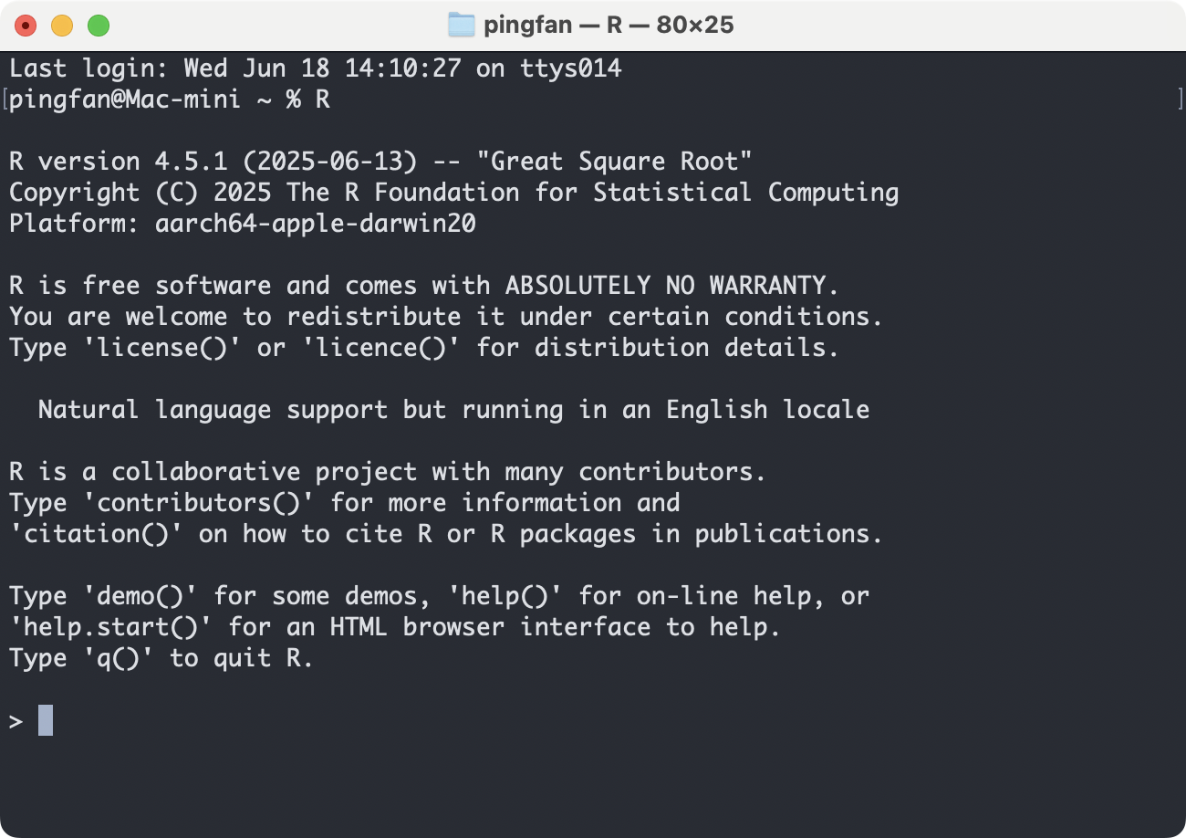 R Console in Terminal